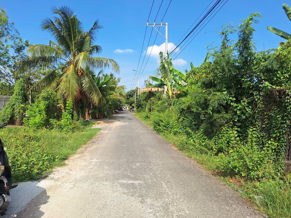 Đất Nền Phường Mỹ Phong - 119m² Sổ Hồng Riêng, 5 Phút Đến Khu Hành Chính