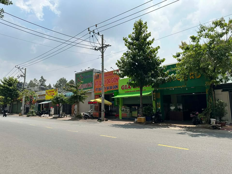 Mặt Tiền Kinh Doanh Đường Số 8, TDM - 100m² Sẵn Sàng Cho Spa/Salon!