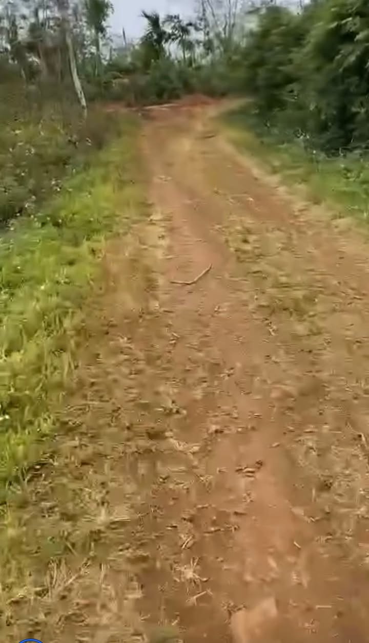 Đất Nông Nghiệp 16.000m² Mặt Tiền Lý Chính Thắng, Buôn Hồ - Giá Đầu Tư 5.6 Tỷ