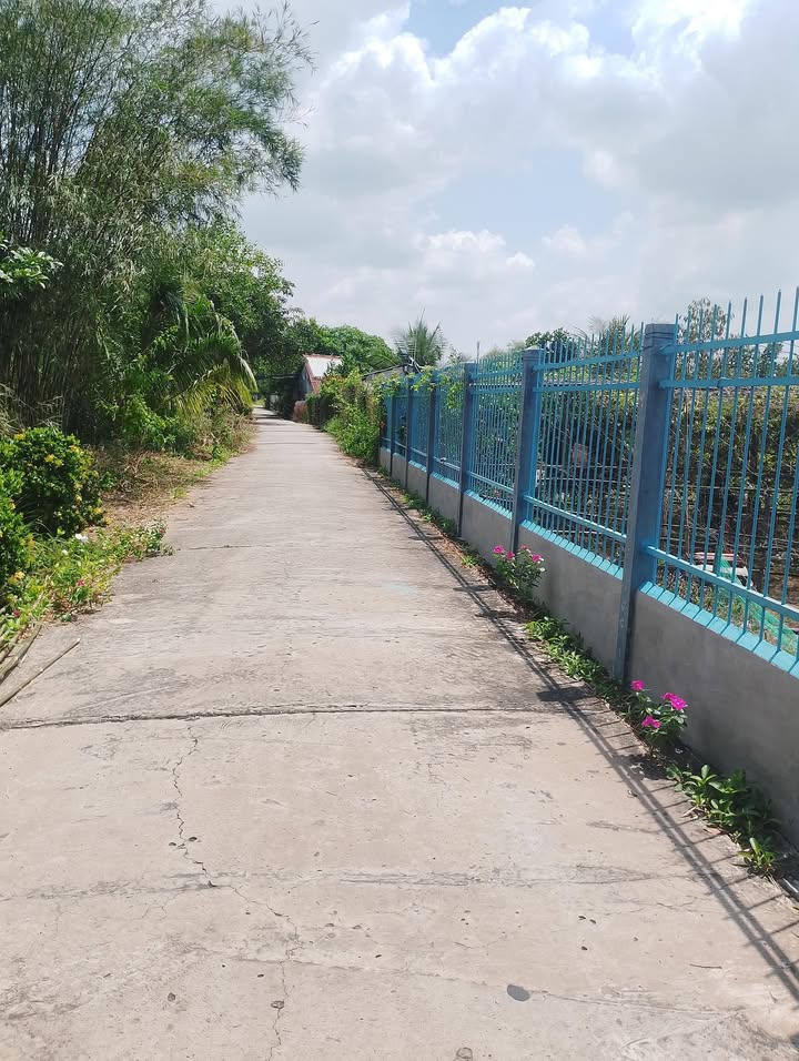 Bán Đất Vườn 3200m² Đồng Tháp - Sổ Thổ Cư, Đường Xe 7 Chỗ