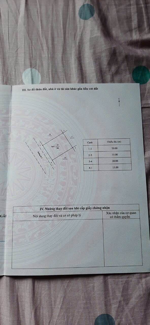 Biệt thự view sông KDC Sơn Tịnh - 300m² giá 4 tỷ, đầu tư lý tưởng
