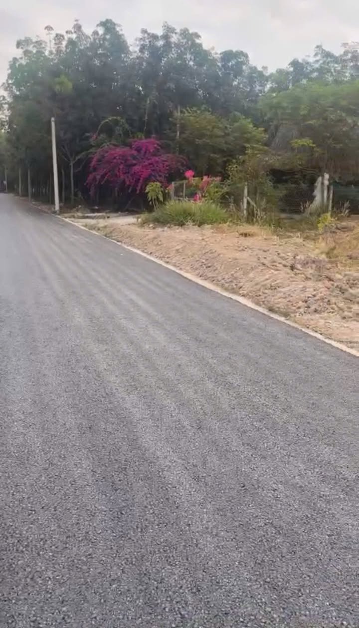 Đất Nền Dĩ An 330m² - Giá Rẻ 960 Triệu, Sẵn Sàng Xây Dựng