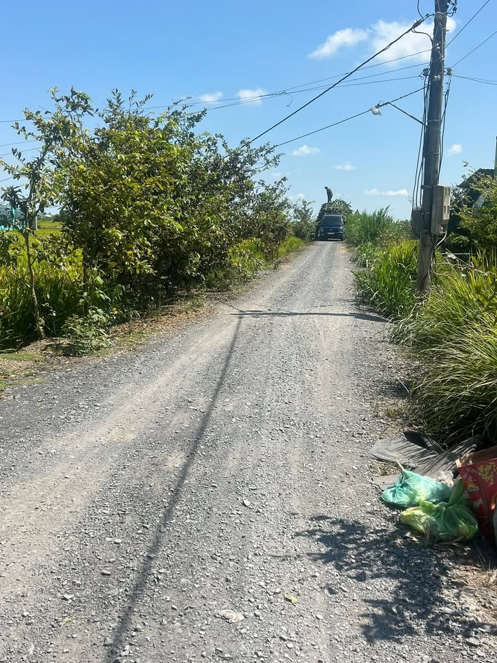 Bán Đất Vườn 3000m² Mặt Tiền Đường Xe Hơi Gò Công, Tiền Giang - Giá Tốt