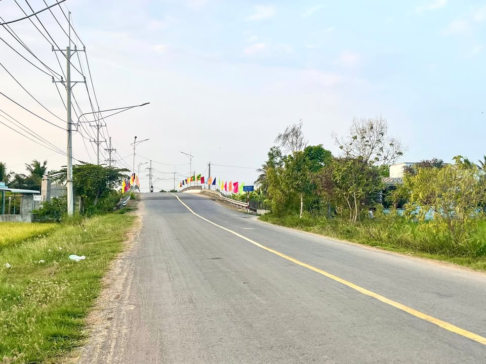 Đất nền mặt tiền TL872B, Gò Công Tây - 10.000m² Kinh doanh đa ngành nghề