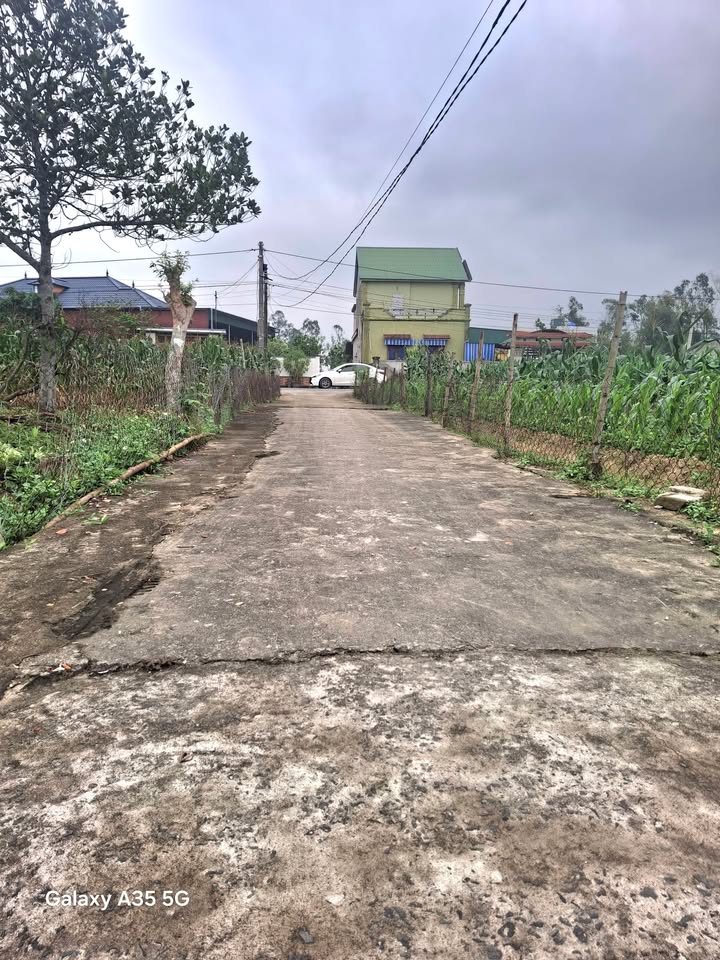 Đất Nền Nghi Trung 116m² - Vị Trí Đẹp, Giá Tốt Chỉ Từ 9xx Triệu