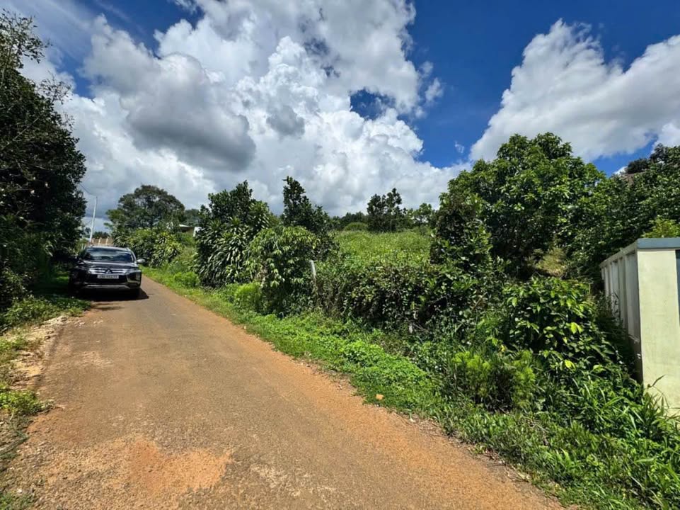 Bán Đất Nền 10.112m² Mặt Tiền Đường Liên Thôn Xã Lộc An, Lâm Đồng - Sổ Đỏ Sẵn Sàng