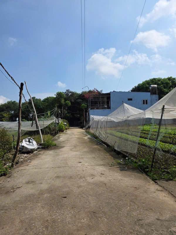 Bán Đất Hố Nai 95m² Giá 430 Triệu - Sổ Đỏ Rõ Ràng