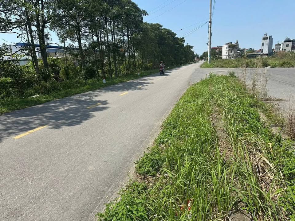 Đất nền đấu giá An Lâm-Nam Sách 100m² - Vị trí đắc địa, giá 2 tỷ