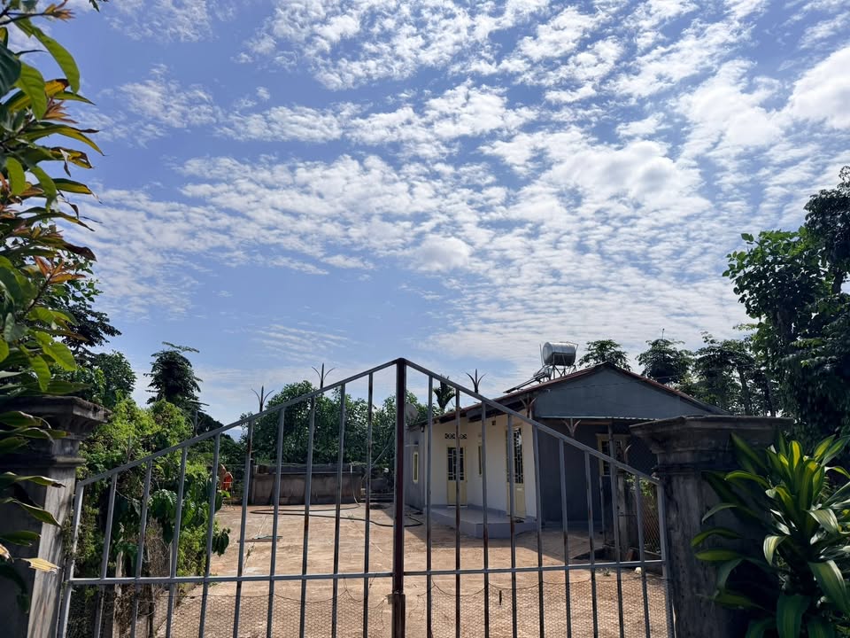 Bán Đất 5900m² Mặt Tiền Đường Quy Hoạch TC - Lâm Hà, Lâm Đồng - Giá 6 Tỷ