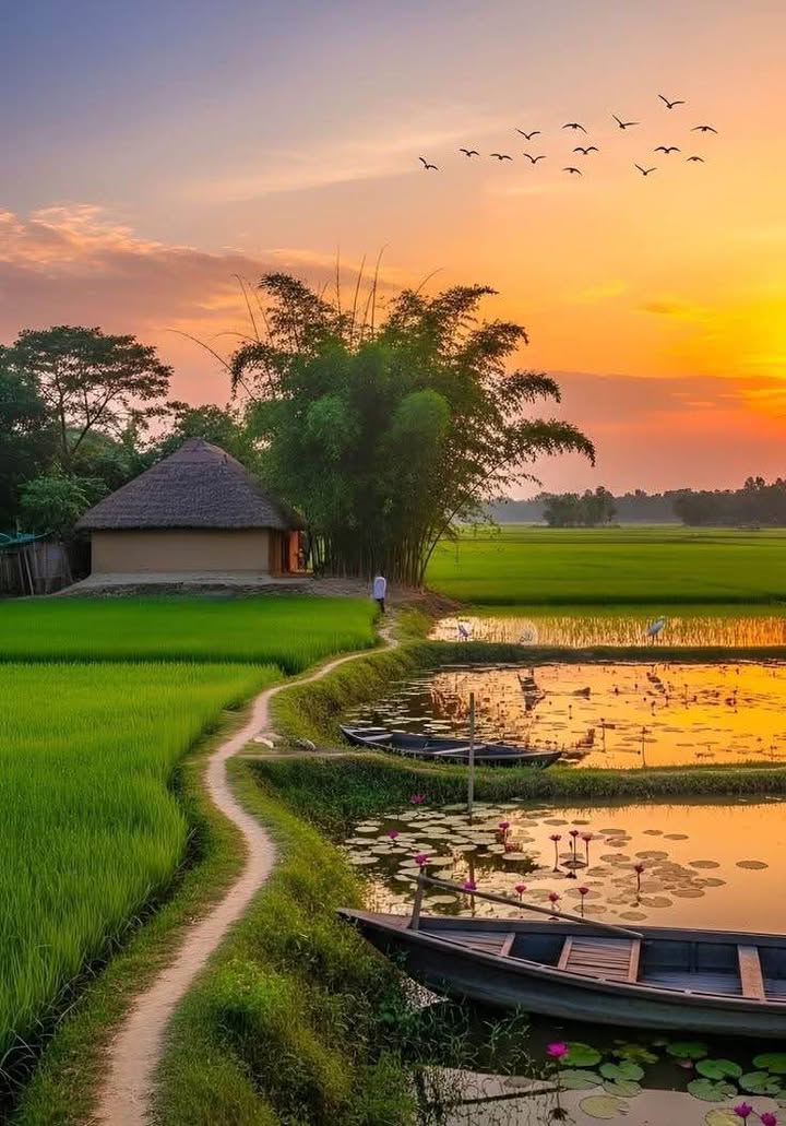 Đất 2 Mặt Tiền Vinh Hà, Huế 600m² - Giá Đầu Tư 2.4 Tỷ