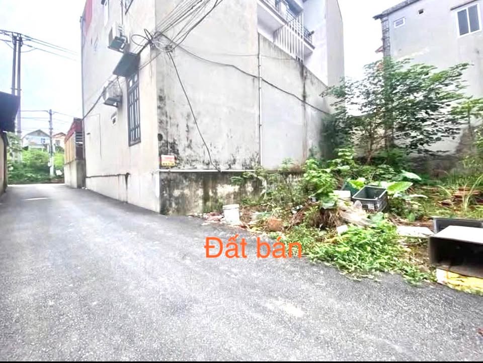 Đất nền Đông Anh 48m² gần Cầu Đông Trù - Sổ đỏ sẵn sàng giao dịch