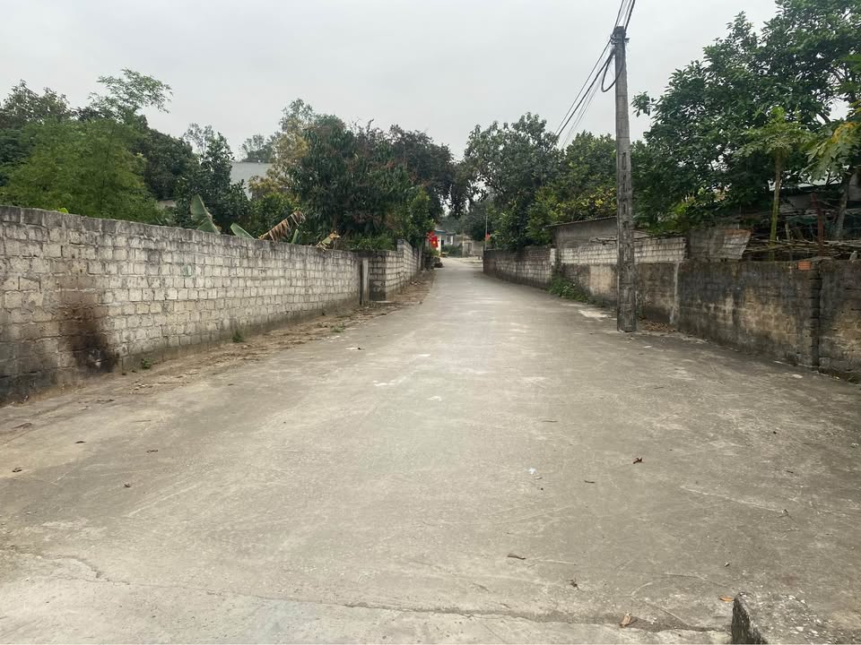 Bán Gấp Đất Vàng Bỉm Sơn 125m² - Sổ Đỏ Sẵn Sàng, Gần Trường Lê Hồng Phong