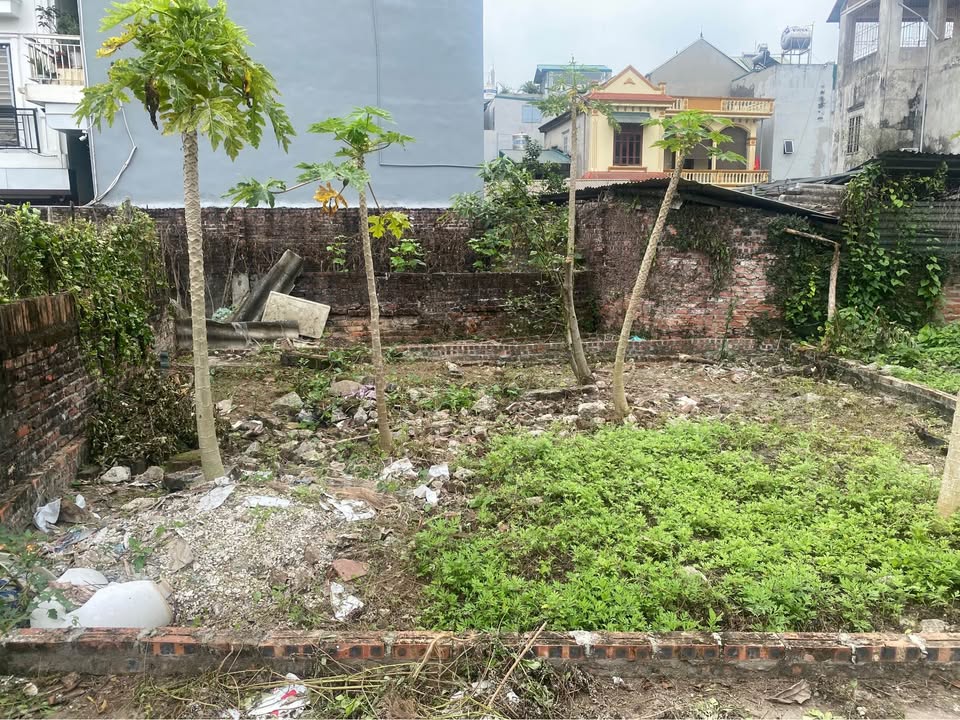 Bán Đất Nền Văn Lâm, Hưng Yên - 68m², Giá Tốt, Sổ Đỏ Sẵn Sàng