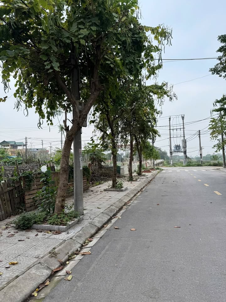 Bán Đất 100m² Phúc Yên - Vị Trí Vàng, View Công Viên Cực Đẹp