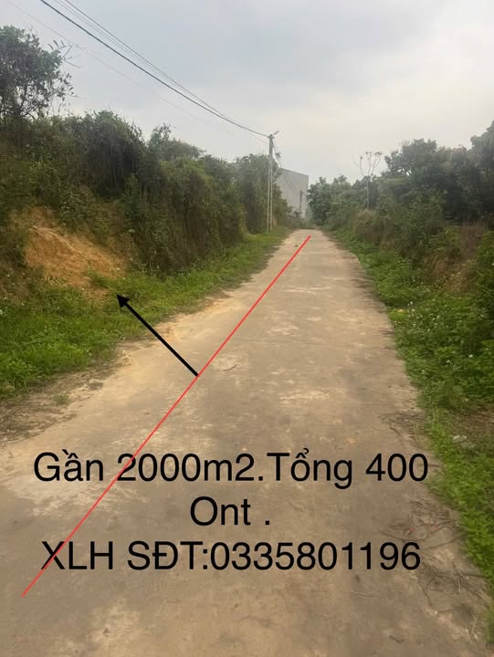 Bán Đất Vườn Lục Ngạn 2000m² - Sổ Đỏ Chính Chủ, Giá Hơn 1 Tỷ