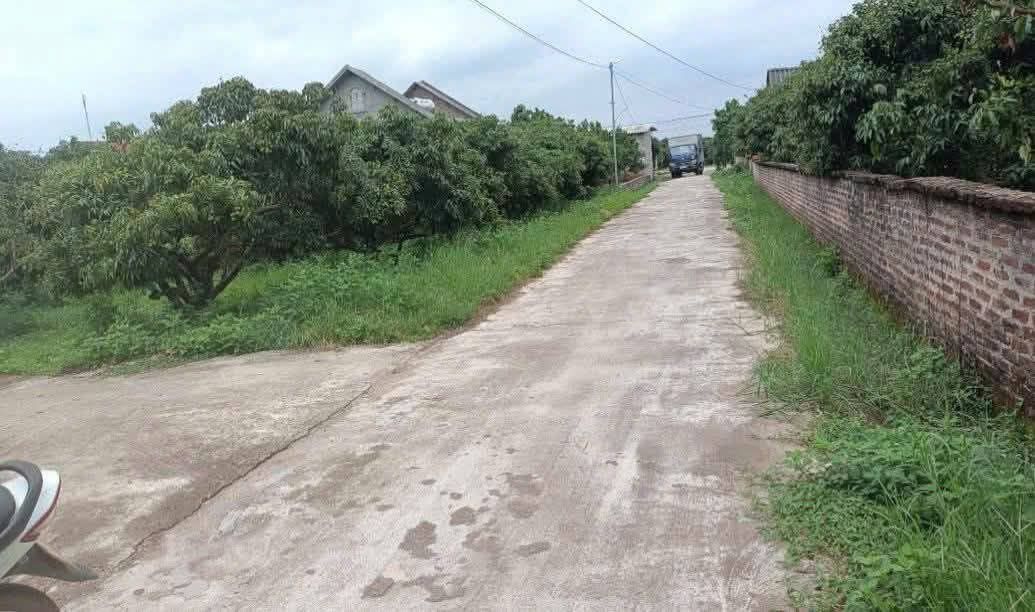 Bán Đất TDP Tân Giáp, Bắc Giang 136m² Giá 6xx Triệu - Sổ Đỏ Rõ Ràng