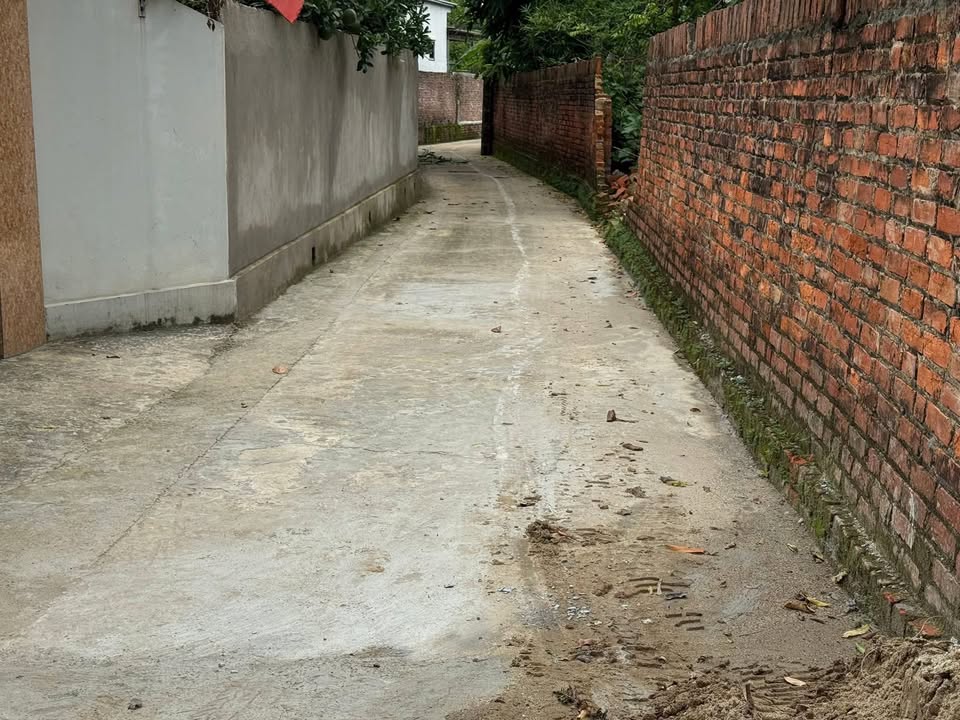 Đất Sóc Sơn 83m² Full Thổ Cư - Giá Đầu Tư Chỉ 1.x Tỷ