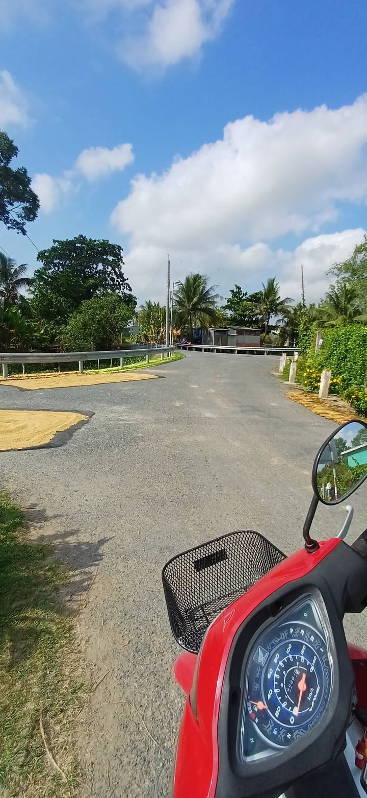 Đất thổ cư 86m² mặt lộ nhựa Mỹ An, Đồng Tháp - Sẵn sàng xây nhà