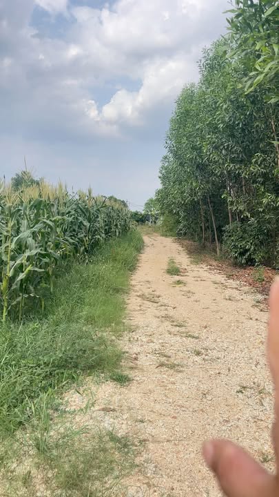 Đất nền Xuân Đông, Đồng Nai 1456m² - Giá đầu tư 550 triệu