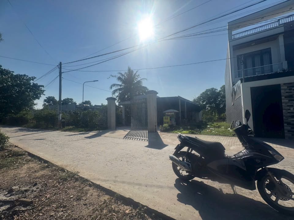 Đất Nền Mỹ Hạnh Nam - Đức Hòa 125m² Sổ Riêng, Kinh Doanh Tốt