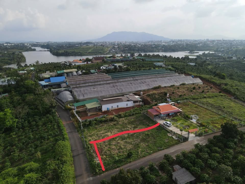 Đất Vàng Đầu Hẻm Chùa, Bảo Lộc: 518m² - 2 Mặt Tiền, Nở Hậu