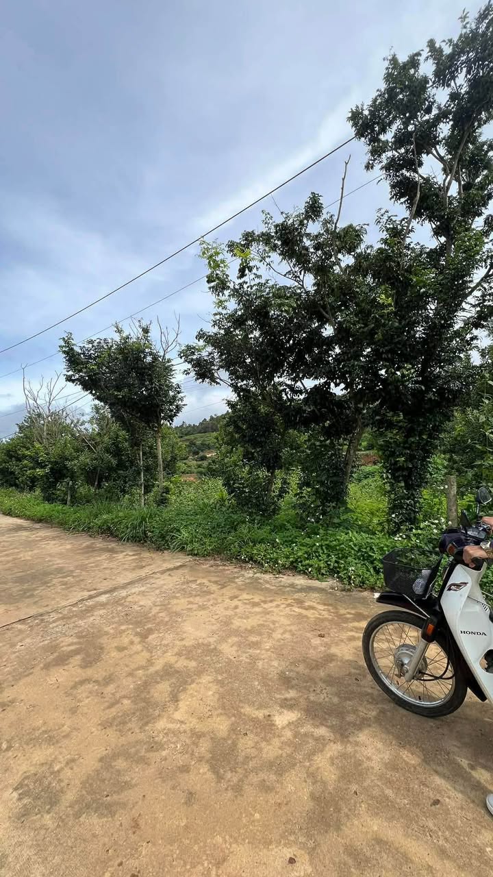 Bán Đất Vườn 366m² Xã Đông Thanh, Lâm Hà - Sổ Hồng Sẵn Sàng