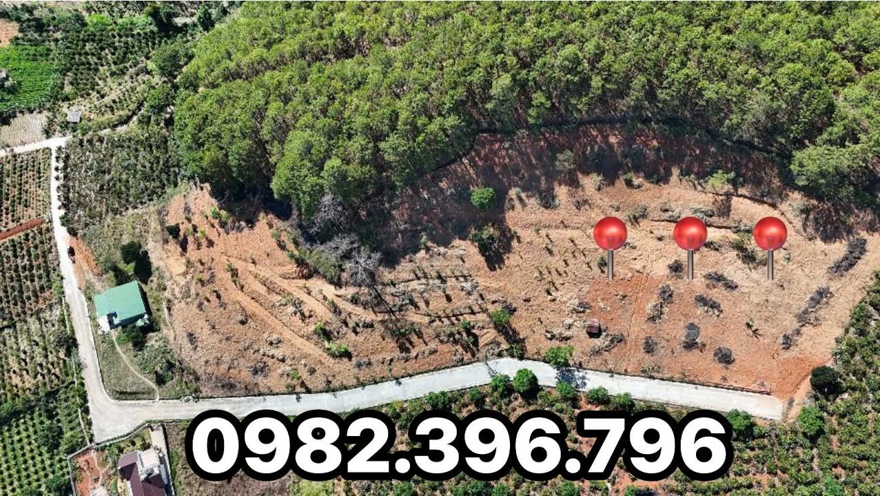 Đất nền Lâm Đồng 497m² view rừng thông - Sổ hồng sẵn