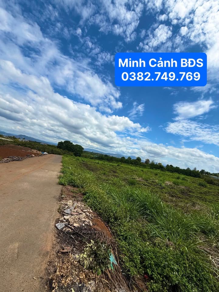 Đất Trung Tâm Tân Hội - Đức Trọng 400m² | Sổ Hồng Sẵn Sàng