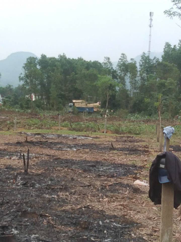 Bán Đất Trồng Cây 644m² Xã Tam Mỹ, Núi Thành - Sổ Riêng 120 Triệu