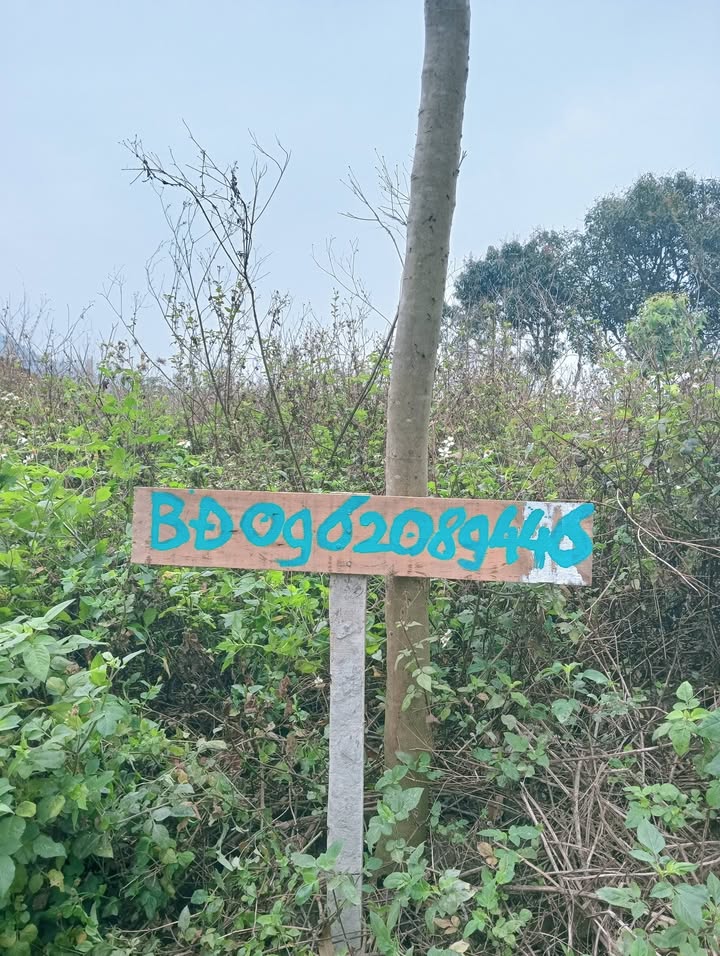 Đất Vĩnh Phúc 138m² Sổ Đỏ Full Thổ Cư - View Hồ Du Lịch Tam Đảo