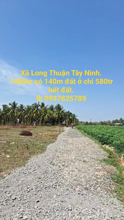 Đất Vườn 1.379m² Mặt Tiền Đường Đá - Giá Tốt 580 Triệu Tại Tây Ninh