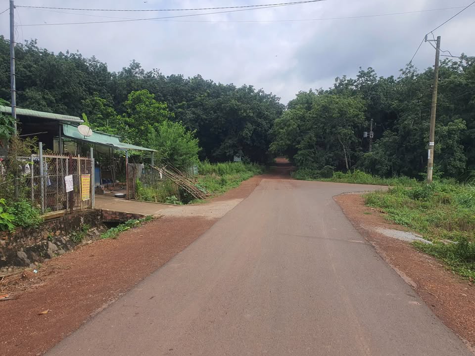 Đất Vườn Đồng Phú - Bình Phước 2977m² - Sổ Đỏ Riêng