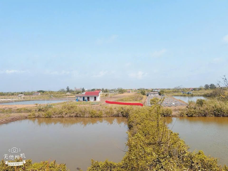 Bán gấp đất Farm 2100m² Nam Điền, Nam Định - Sổ đỏ sẵn sàng
