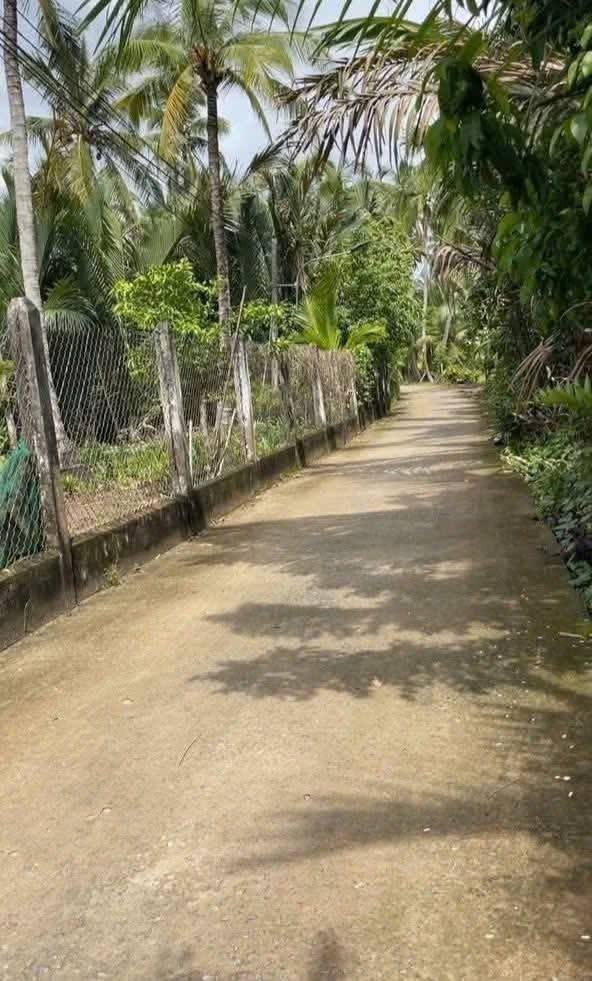 Bán đất 500m² Thị trấn Mỏ Cày, Bến Tre - Sổ hồng sẵn, giá tốt