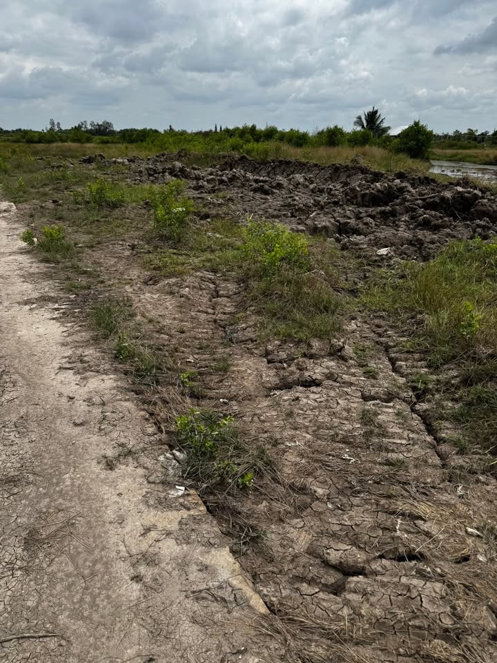 Đất nền Cà Mau 6150m² giá 1.65 tỷ - Sổ đỏ sẵn, tiềm năng tăng giá