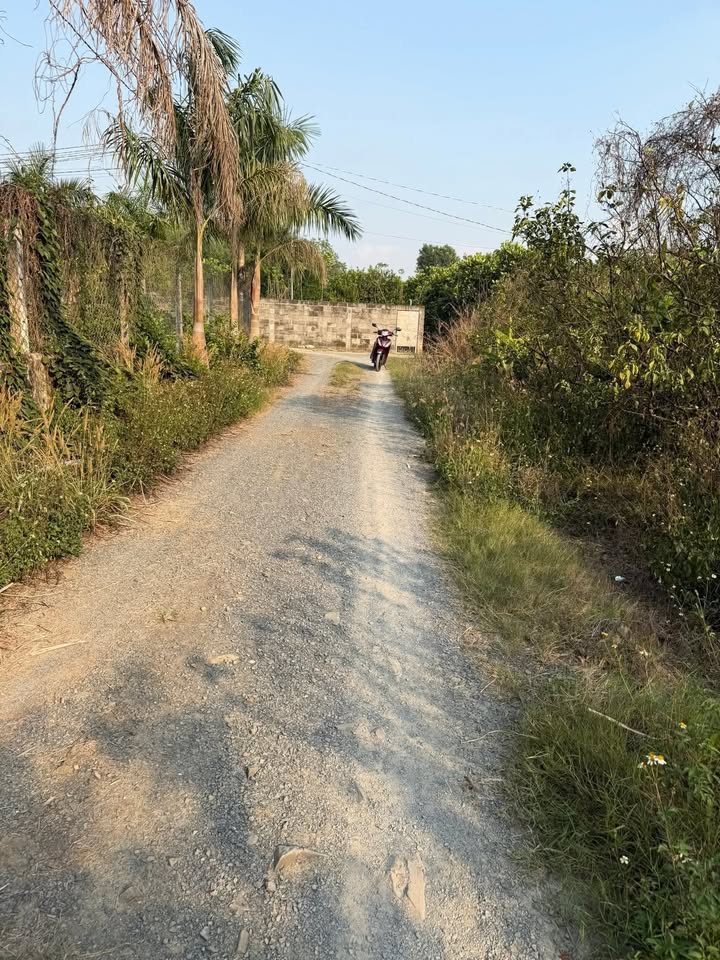 Đất 80m² Thổ Cư 2 Mặt Tiền, Sổ Riêng Tại Vĩnh Cửu - Giá Hơn 800 Triệu