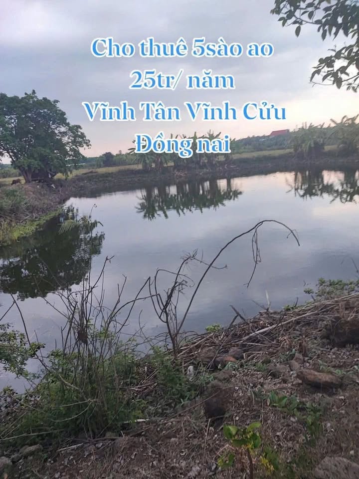 Cho thuê ao cá 5000m² Vĩnh Tân, Đồng Nai - Giá 25 triệu/năm