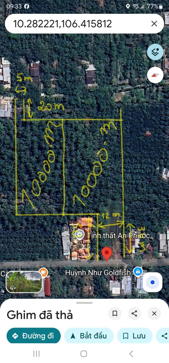 Đất Vàng 20.000m² Bến Tre - Mặt Tiền Lộ Nhựa & Đam, Giá 1.1 Tỷ