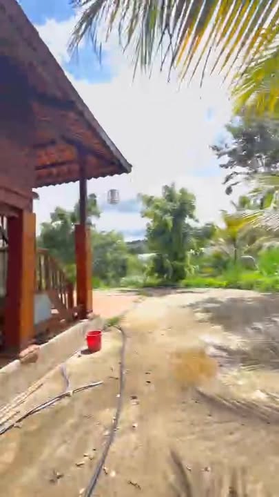 Bán Gấp Nhà Vườn Nghỉ Dưỡng 2000m² Trung Tâm Gia Nghĩa - Chỉ 1.3 Tỷ