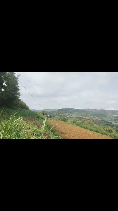 Đất Vườn Phú Yên 6041m² View Thung Lộ Biển - Giá Đầu Tư 1.3 Tỷ