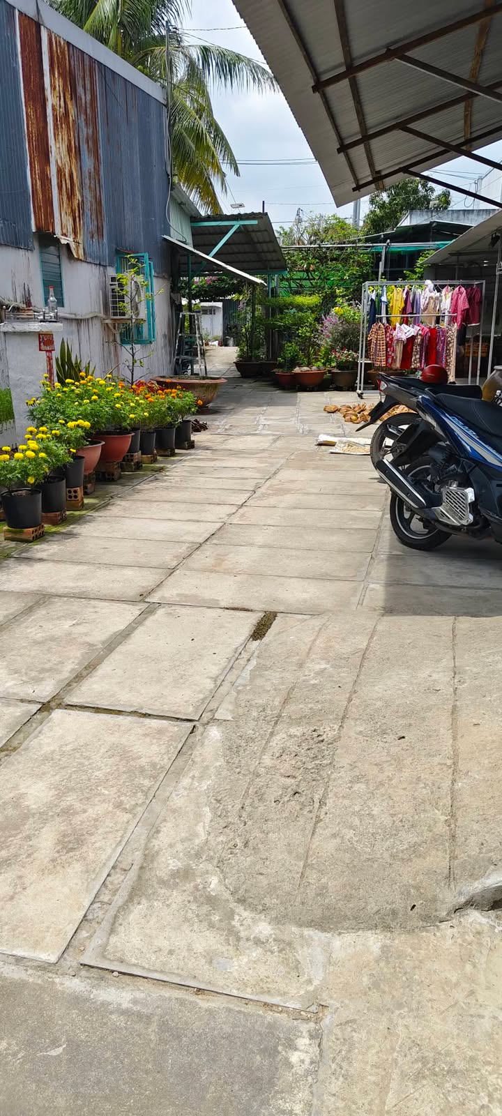 Bán Nền Thổ Cư 100m² Mỹ Hòa, Long Xuyên - Giá 500 Triệu