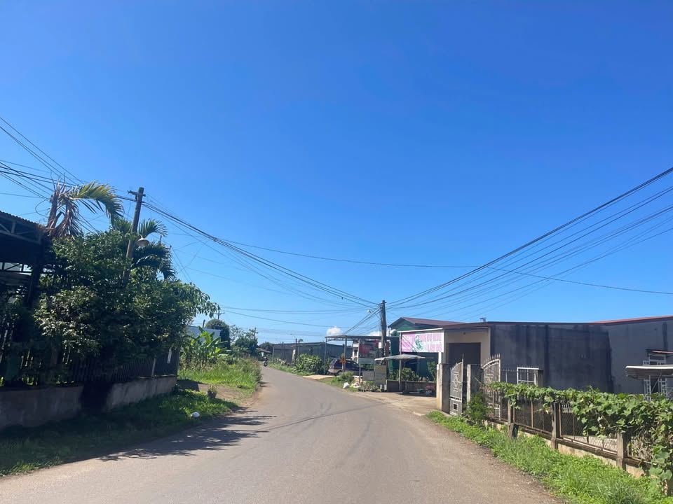 Bán Gấp Vườn Cà Phê 5793.6m² Bảo Lâm, Lâm Đồng - Giá Đầu Tư 5.5 Tỷ