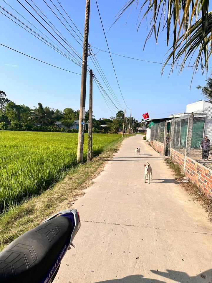 Đất 5170m² mặt tiền 66m, Trà Vinh - Sổ đỏ, giá tốt