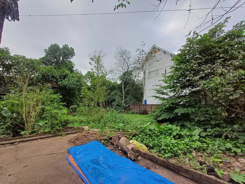 Đất Nền Thổ Cư 328.8m² Thôn Bãi, Thanh Oai - Sổ Đỏ Sẵn Sàng Giao Dịch