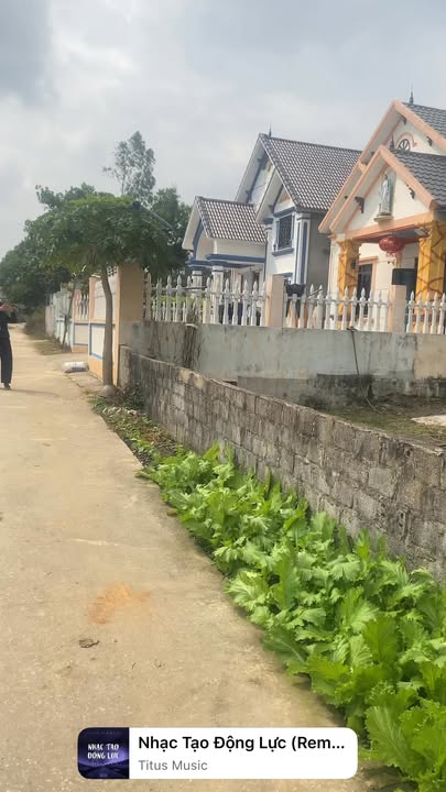 Đất thổ cư 276m² mặt tiền 3 hướng - Vĩnh Lộc, Thanh Hóa chỉ hơn 5 tỷ