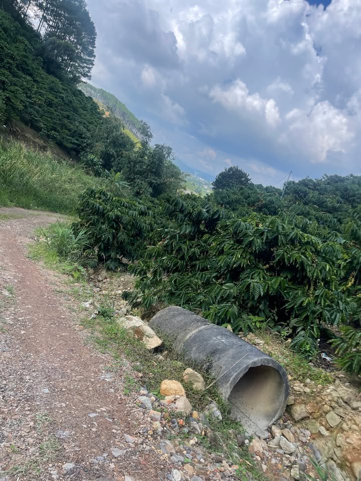 Bán đất 9000m² Đông Thanh, Lâm Hà - Giá 30.3 Tỷ, Tiềm năng sinh lời cao