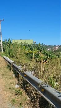 Đất Vườn Lâm Hà 600m² - Mặt Tiền Đường Nhựa 15.2 Tỷ - Sổ Sẵn