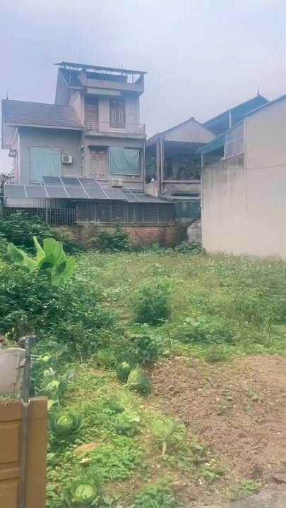 Đất Nền Trung Tâm Thanh Ba 94m² - Sổ Đỏ Sẵn Sàng