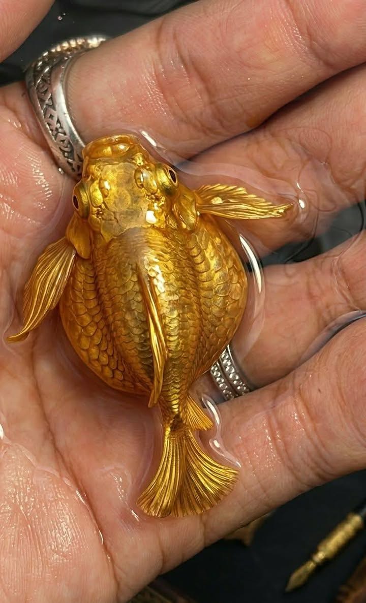 Cho thuê nhà 45m² 3 tầng - Làng sinh viên X4 Hà Đông - Giá 6 triệu/tháng