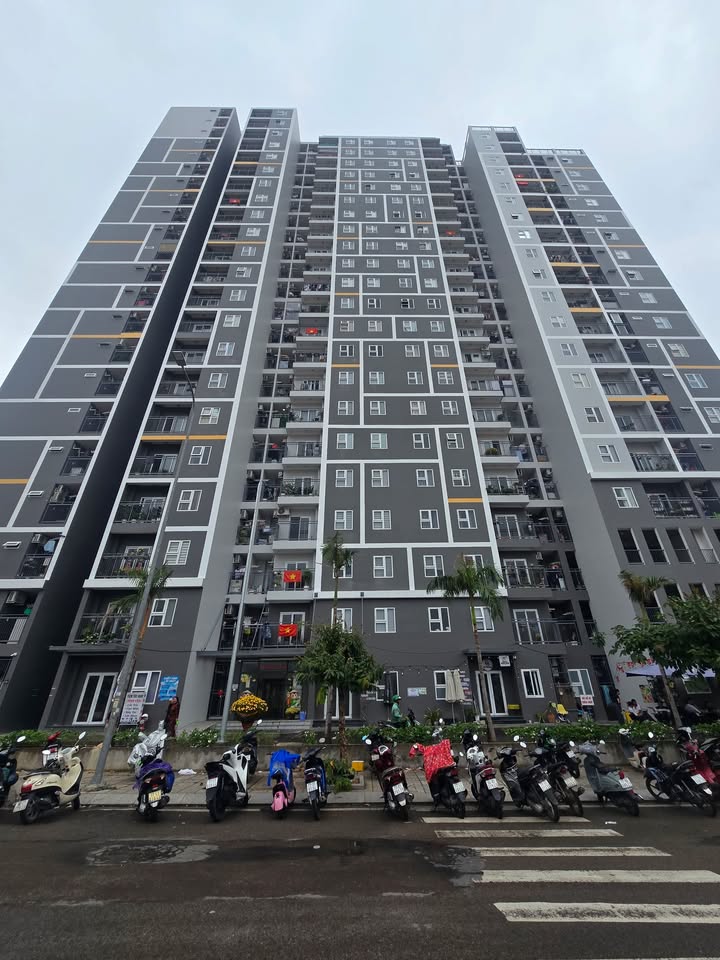 Chung cư Simona 49m² - Sổ hồng sẵn sàng, sang tên ngay!